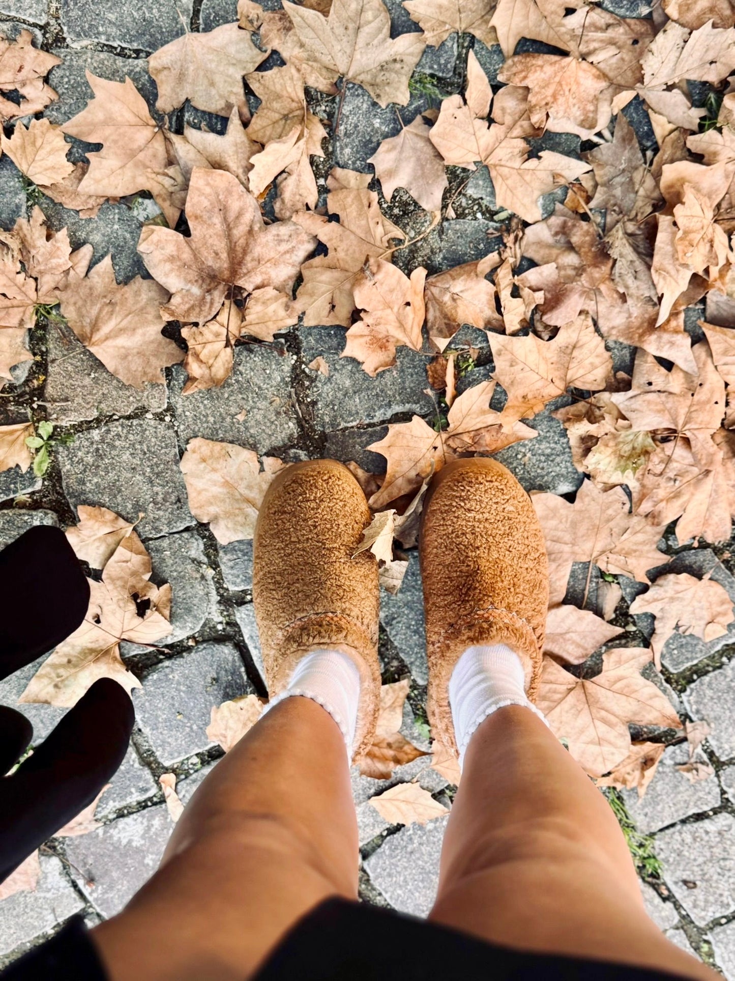 Mules moumoute Camel