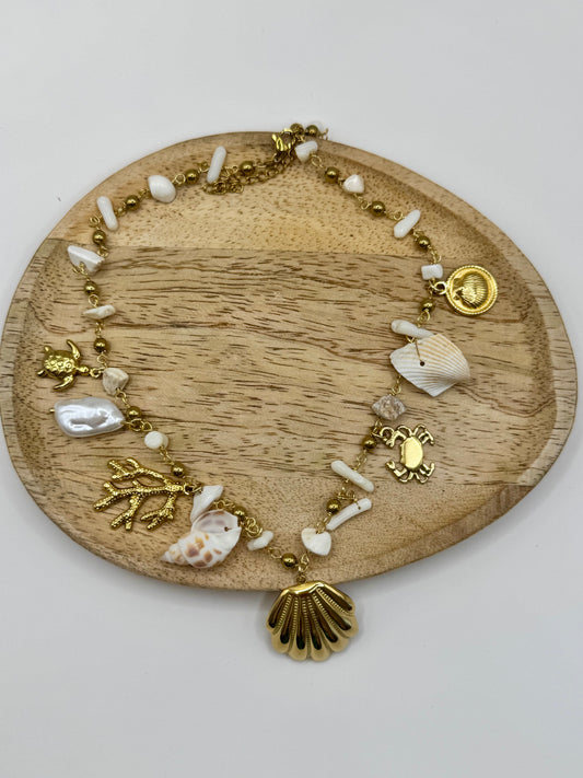 Collier coquillage